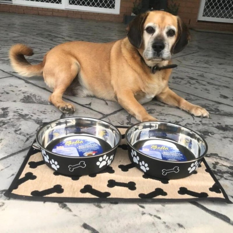 Loving Pets Bella Bowl for Dogs, Medium, Espresso - Image 5