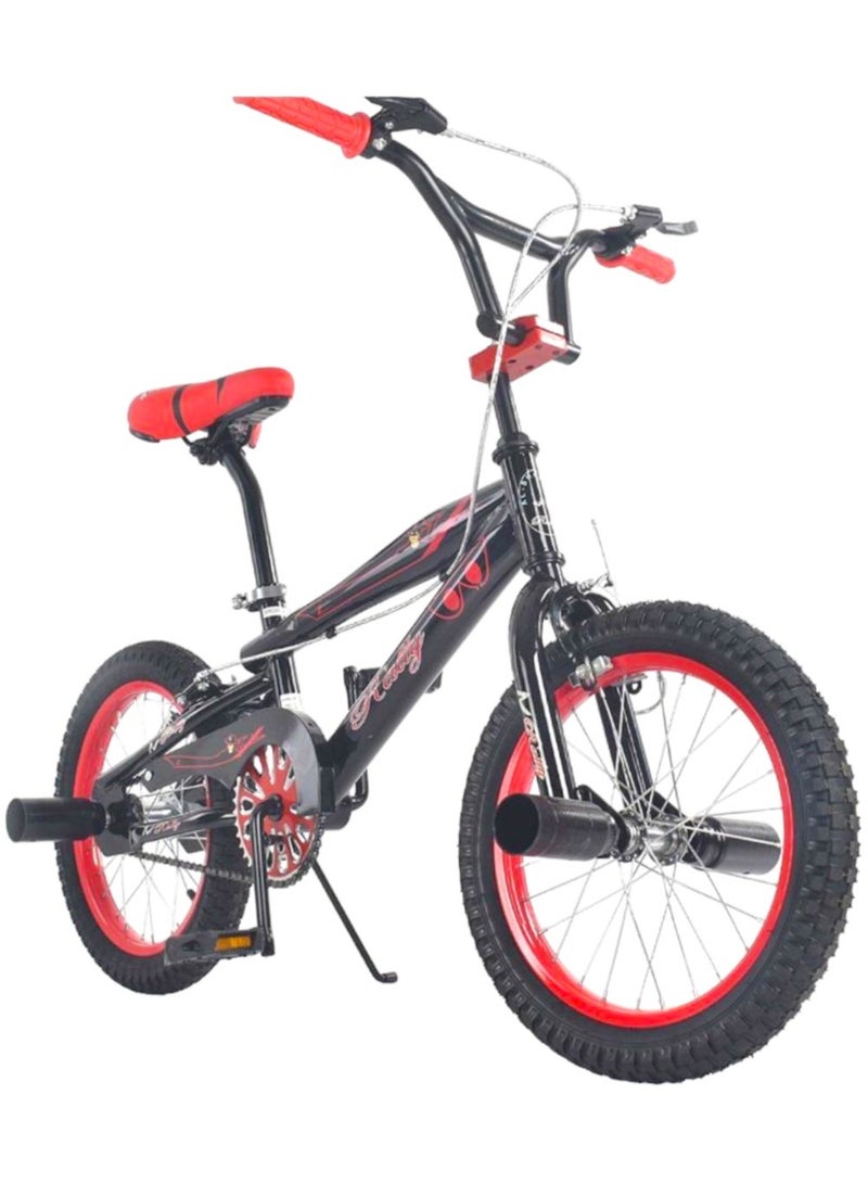 Rally Classic Metallic Bicycle With Disc Brakes Size 16 inch For Kids