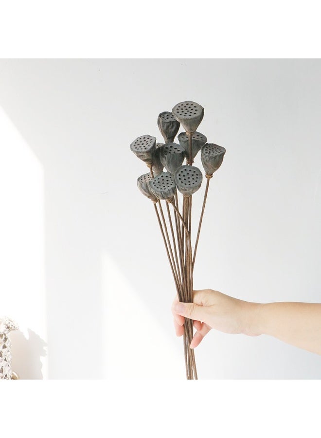 OASIS-TH 10 Pcs Natural Dried Natural Dried Flower Lotus Podsfor Wedding Home Office Party DIY Flower Arrangement - Image 1