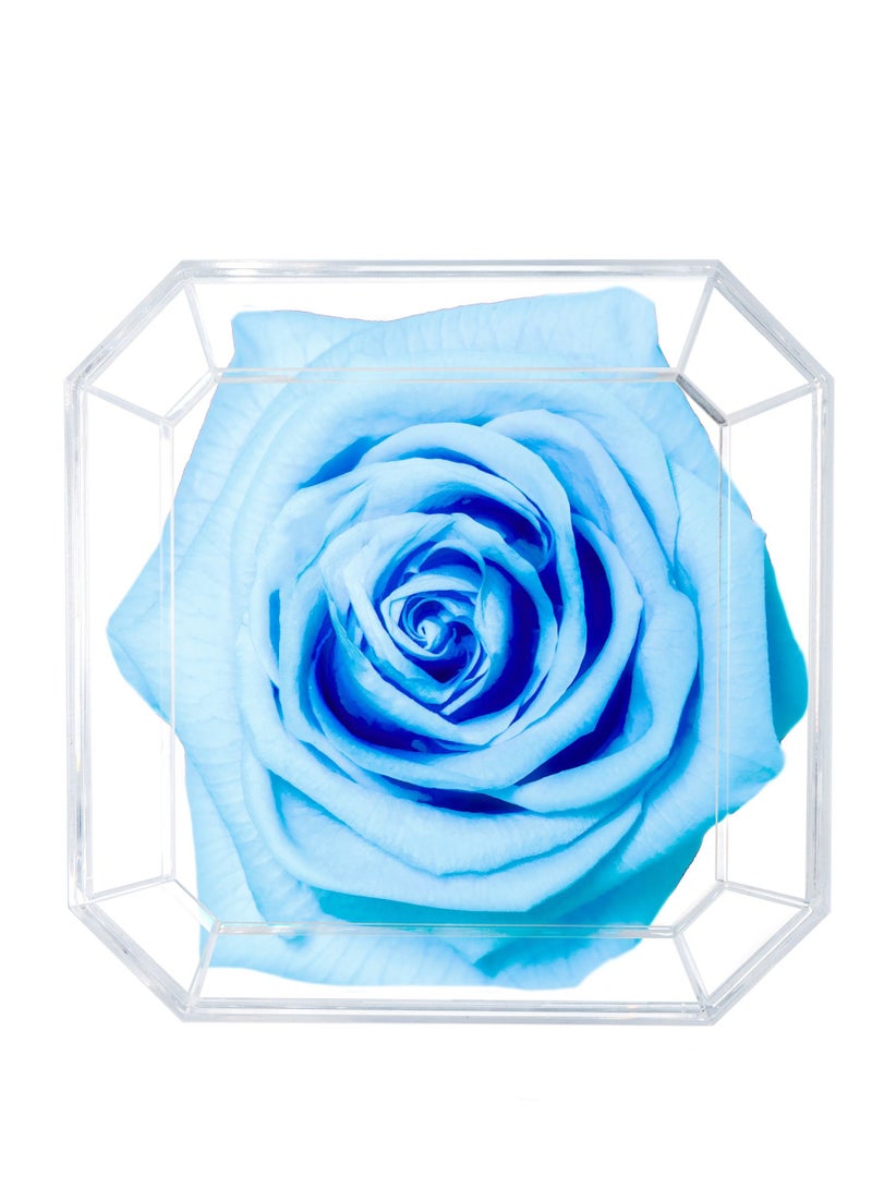 ETERNAL PETALS Eternal Petals, A 100% Real Rose That Lasts Years - Gold Solo (Light Blue)  - Image 2