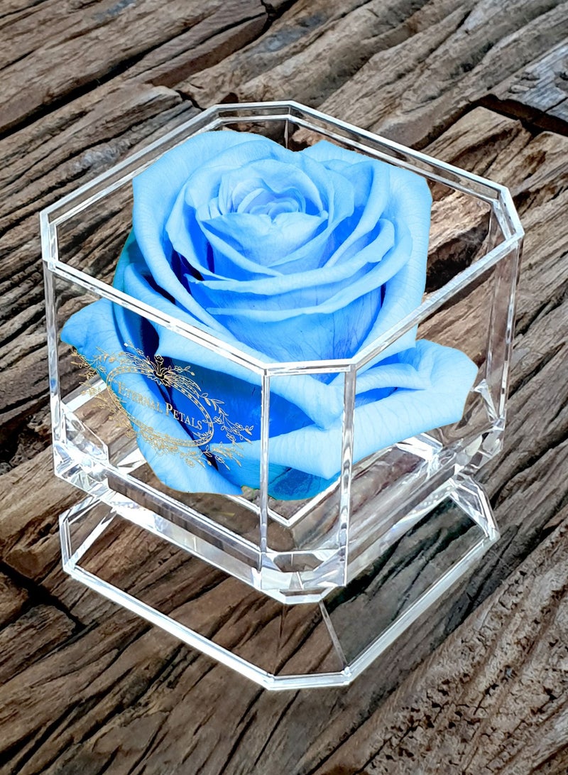 ETERNAL PETALS Eternal Petals, A 100% Real Rose That Lasts Years - Gold Solo (Light Blue)  - Image 3