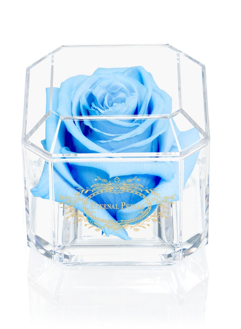 ETERNAL PETALS Eternal Petals, A 100% Real Rose That Lasts Years - Gold Solo (Light Blue)  - Image 1