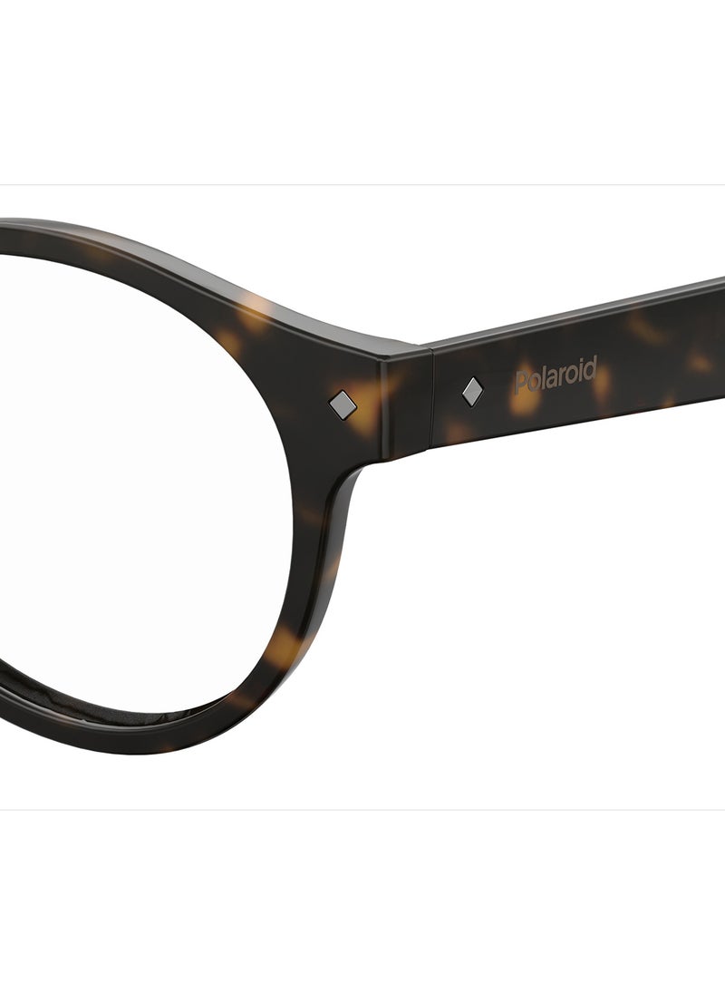 Unisex Oval Reading Glasses - Pld 0021/R Havana 49 - Lens Size: 49 Mm - pzsku/ZE5B49DE56501453F63DDZ/45/_/1696841644/204b512f-64c4-4459-84b8-dd7d6d34b017