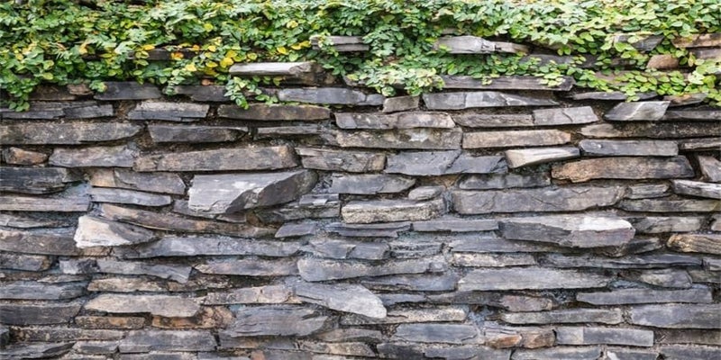 YongFoto YongFoto Reptile Tank Terrarium Background 36x18 inch Green Leaves Vines Rock Stone Brick Wall Reptile Habitat Background Bearded Dragon Fish Tank Aquarium Polyester Backdrop  - Image 1