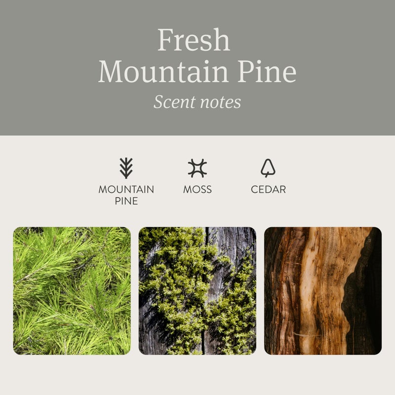 Drift Car Air Freshener - The Original Wood Air Freshener - Car Odor Eliminator - Long Lasting Scent - Metal Clip - Essential Oils - Clean Ingredients - Pine Scent 3 Pack Refill - NO CLIP INCLUDED - Image 4