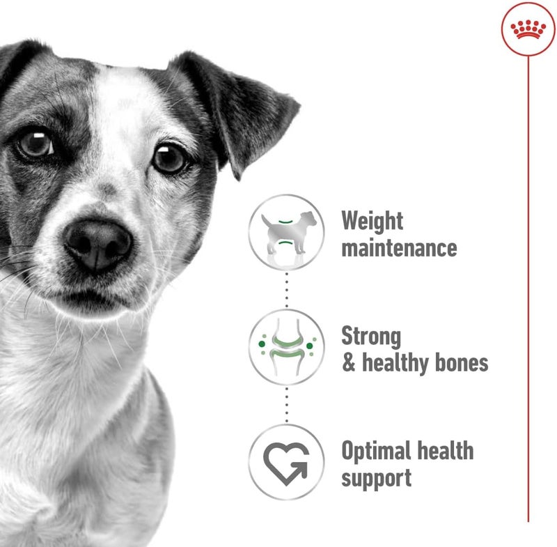 ROYAL CANIN طعام الكلاب الجافة رويال كانين ميني للبالغين - 4 كجم - Image 4