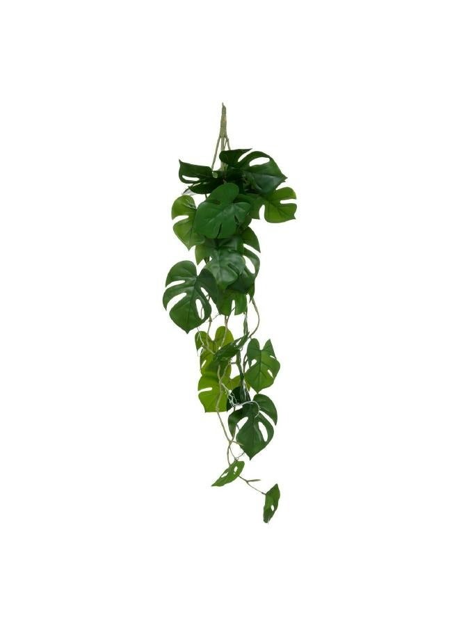 LOFT MONSTERA,HANGING PLANT,L25XP5XH85CMS,GREEN-189134 - Image 1
