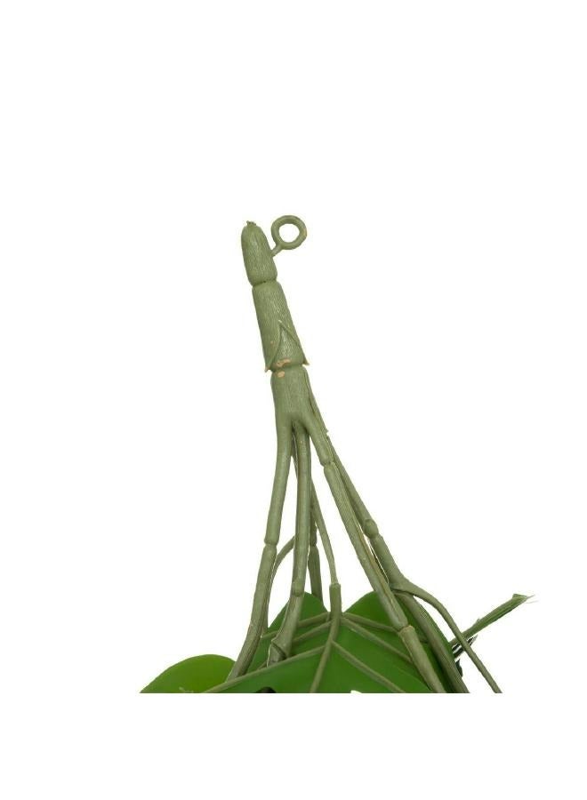LOFT MONSTERA,HANGING PLANT,L25XP5XH85CMS,GREEN-189134 - Image 3
