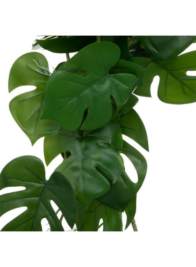 LOFT MONSTERA,HANGING PLANT,L25XP5XH85CMS,GREEN-189134 - Image 2
