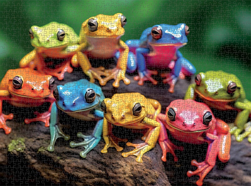 Cross & Glory - Rainbow Ribbit: Frog Ensemble - 1000 Piece Jigsaw Puzzle for Adults | Vibrant Puzzle | Premium Quality | Unique Artwork - Image 5