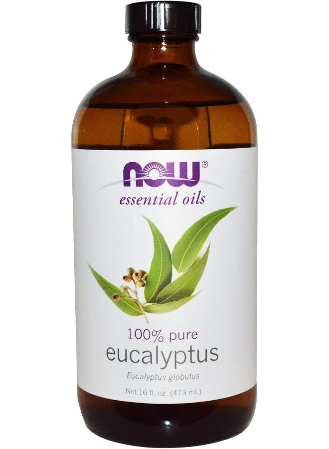 now Now Foods Eucalyptus Oil - 16 oz. (pack of 2) - Image 1
