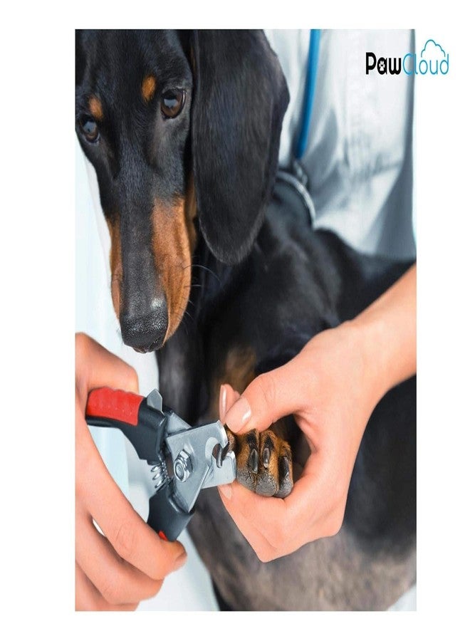 PawCloud Stainless Steel Dog Nail Cutter, with Pet Safety Guard & Lock - Medium - Image 5