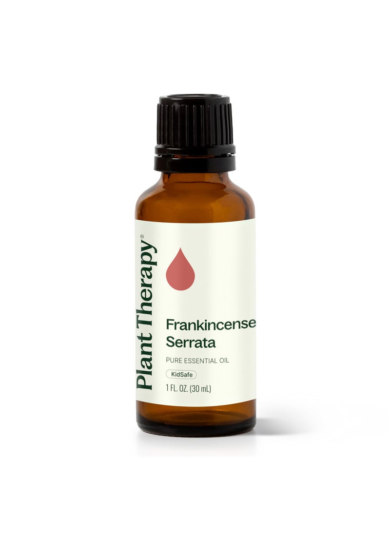 Plant Therapy Plant Therapy Frankincense Serrata Essential Oil 100% Pure, Undiluted, Natural Aromatherapy, Therapeutic Grade 30 mL (1 oz)  - Image 1