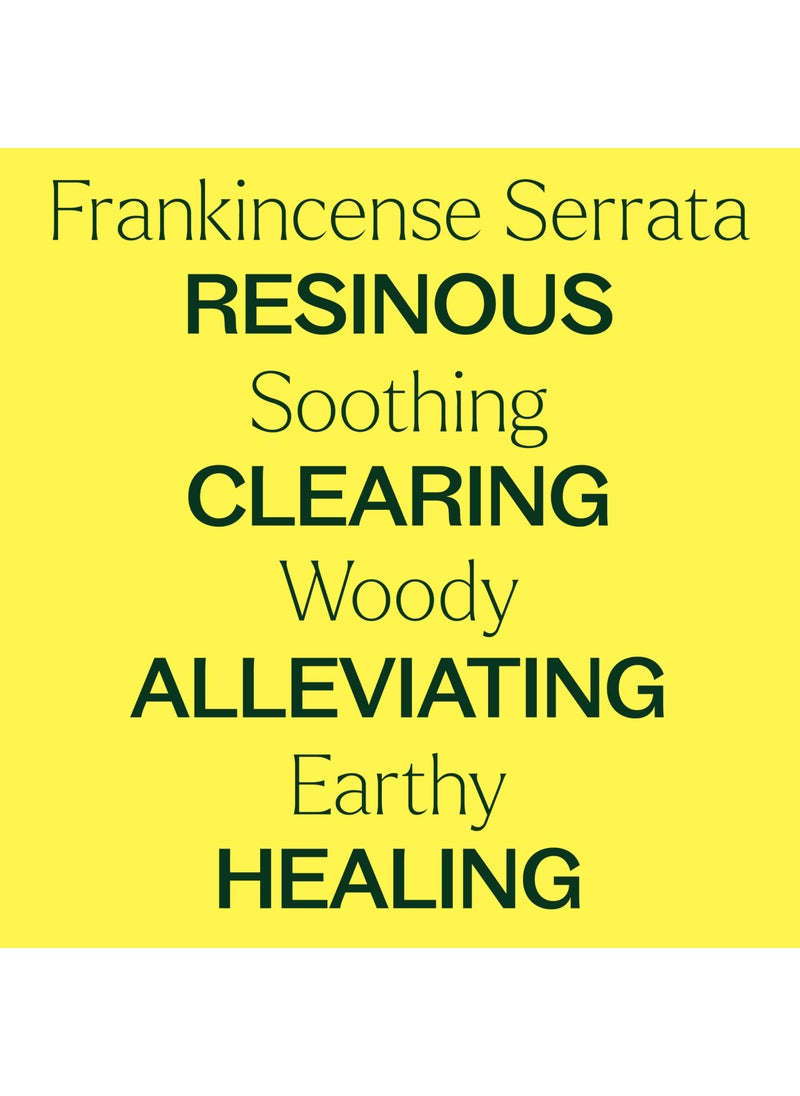 Plant Therapy Plant Therapy Frankincense Serrata Essential Oil 100% Pure, Undiluted, Natural Aromatherapy, Therapeutic Grade 30 mL (1 oz)  - Image 4