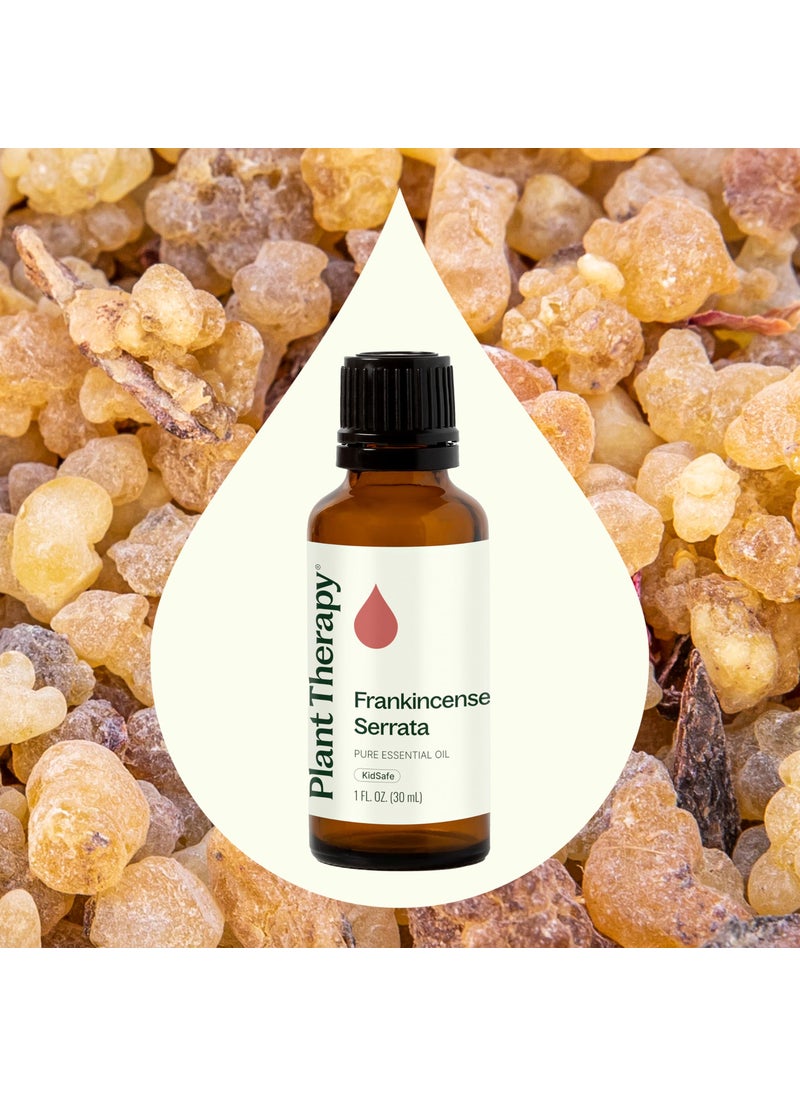 Plant Therapy Plant Therapy Frankincense Serrata Essential Oil 100% Pure, Undiluted, Natural Aromatherapy, Therapeutic Grade 30 mL (1 oz)  - Image 3