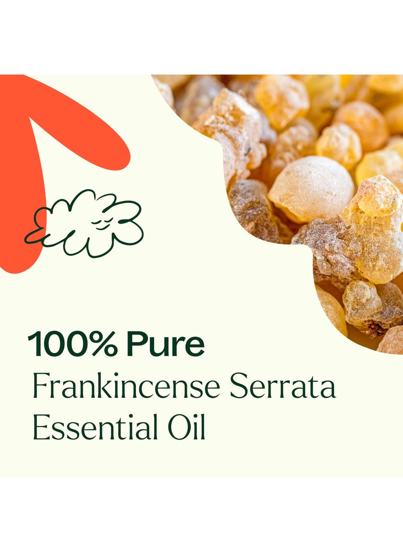 Plant Therapy Plant Therapy Frankincense Serrata Essential Oil 100% Pure, Undiluted, Natural Aromatherapy, Therapeutic Grade 30 mL (1 oz)  - Image 5