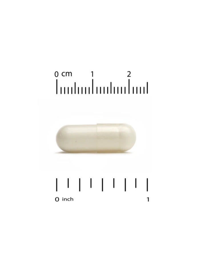 California Gold Nutrition Mastic Gum 500 mg 180 Veggie Capsules - Image 4
