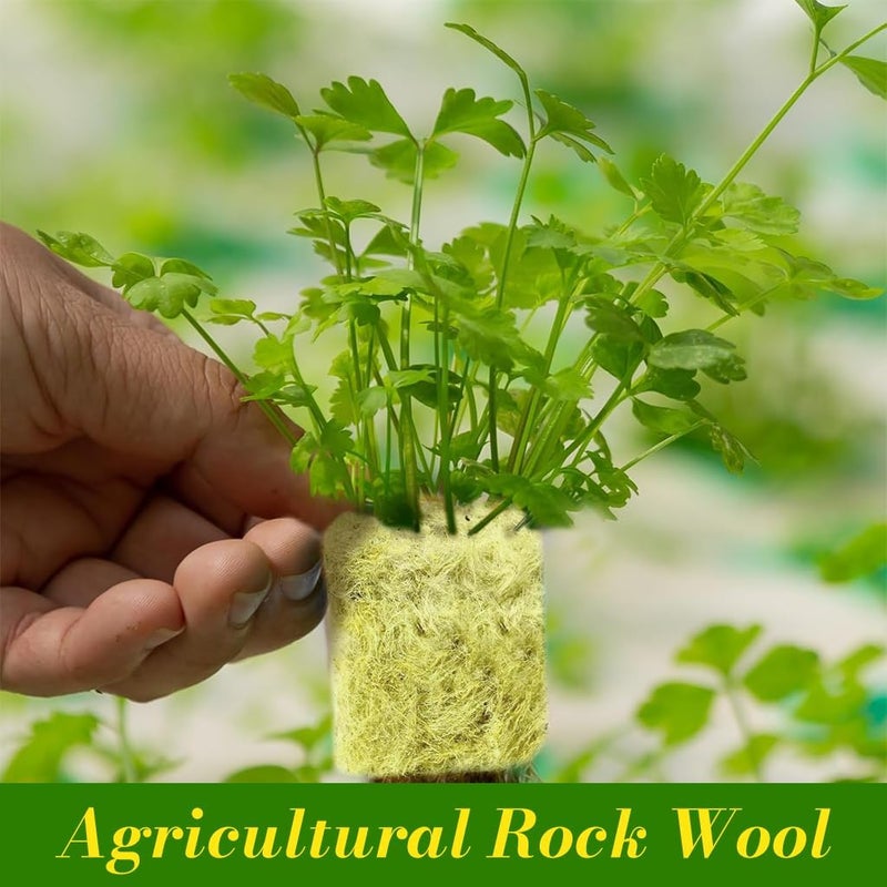 HASTHIP® 50Pcs Rockwool Seed Starter Cubes 1 Inch Hydroponic Growing Plugs, High-Density Stonewool Blocks for Germination & Cloning, Soil-Free Starter Kit for Vegetables, Herbs, Indoor - Image 3