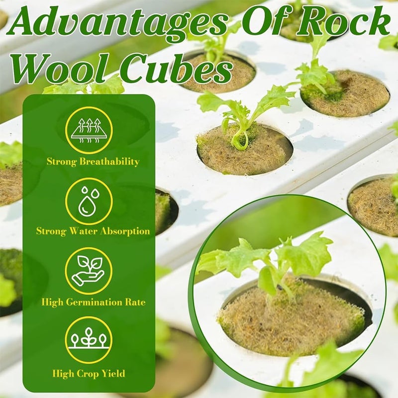 HASTHIP® 50Pcs Rockwool Seed Starter Cubes 1 Inch Hydroponic Growing Plugs, High-Density Stonewool Blocks for Germination & Cloning, Soil-Free Starter Kit for Vegetables, Herbs, Indoor - Image 4