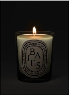 Diptyque Baies Candle-6.5 oz,Berry Fragrance for Home Decor & Relaxation  - Image 5