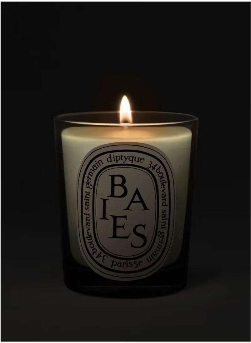 Diptyque Baies Candle-6.5 oz,Berry Fragrance for Home Decor & Relaxation  - Image 5