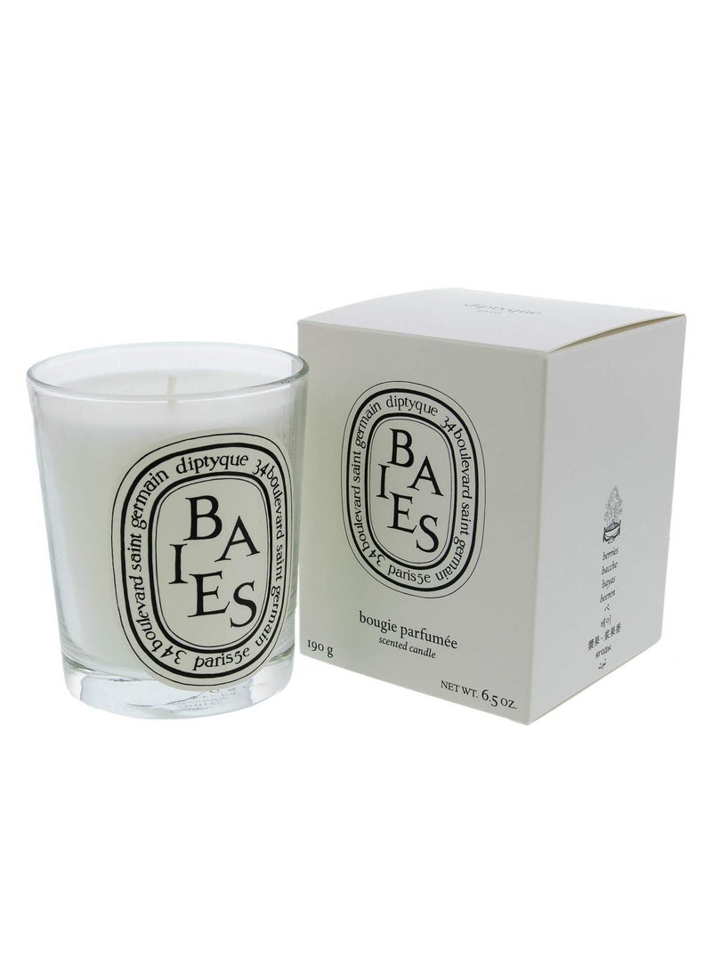 Diptyque Baies Candle-6.5 oz,Berry Fragrance for Home Decor & Relaxation  - Image 2