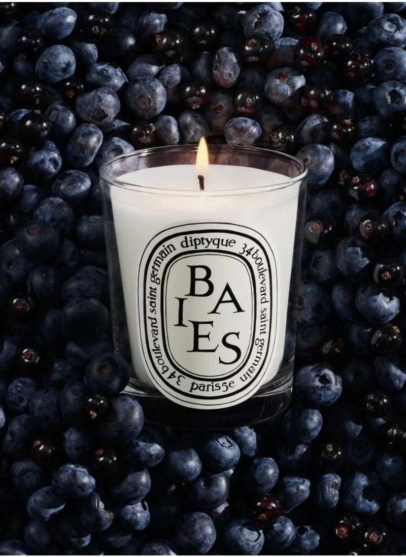 Diptyque Baies Candle-6.5 oz,Berry Fragrance for Home Decor & Relaxation  - Image 4