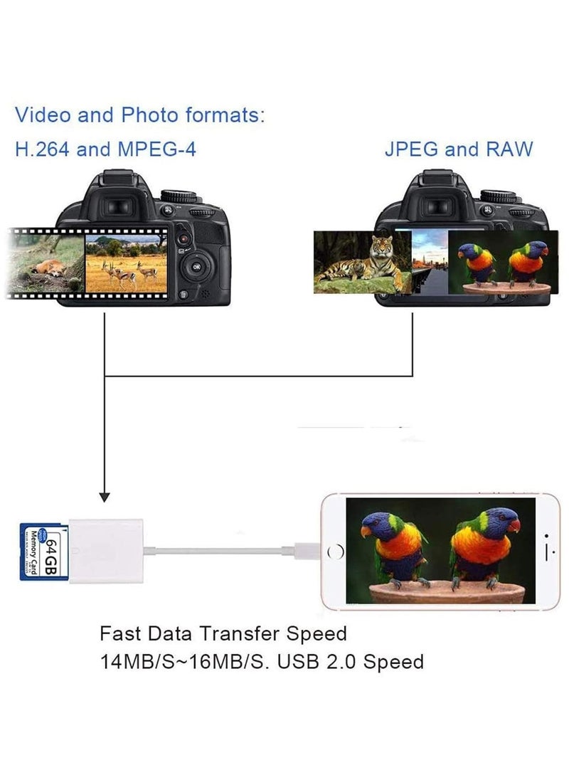 Generic - SD Card Camera Reader Adapter for iPhone iPad(USB 3.0/2.0) DSLR Camera Trail Game Camera Card Viewer Reader for iPhone 12 Mini,No APP Needed-Plug and Play - Image 1