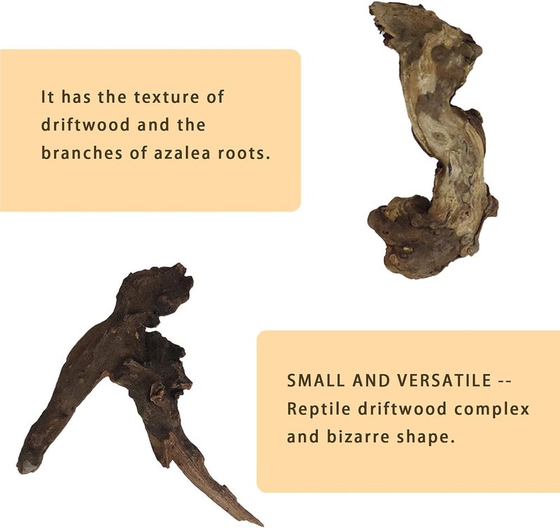 Hamiledyi Aquarium Driftwood 10 PCS Natural Wood Driftwood Branches Fish Tank Habitat Decor Sinkable Reptile Tree Log Decorations Assorted Terrarium Ornament for Aquarium Fish Reptiles Tank Small - Image 4