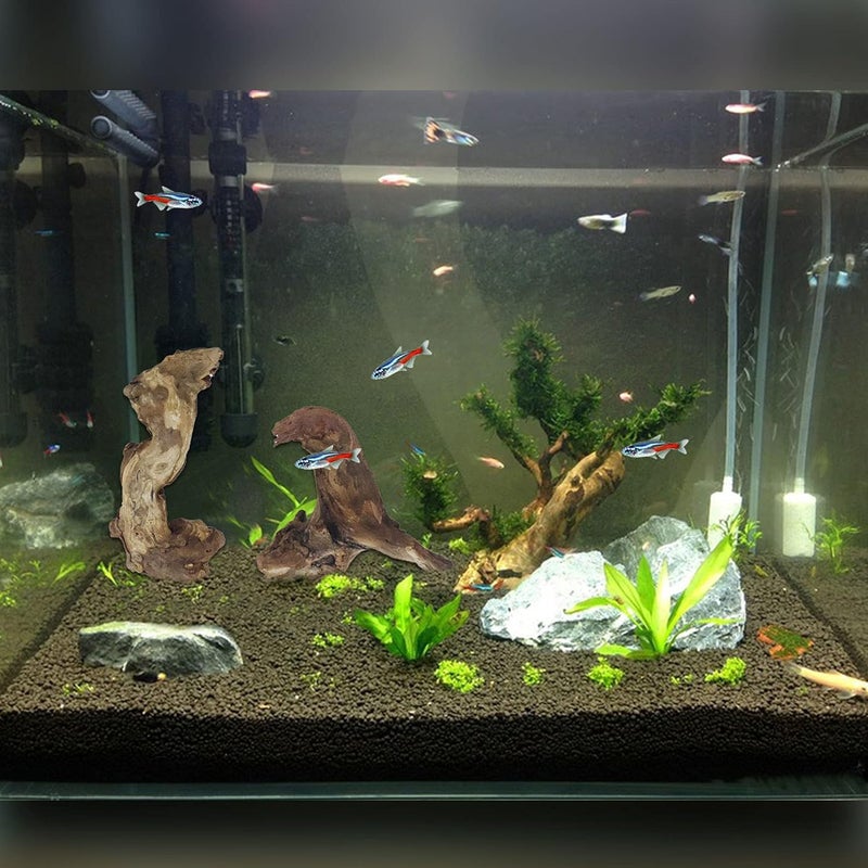 Hamiledyi Aquarium Driftwood 10 PCS Natural Wood Driftwood Branches Fish Tank Habitat Decor Sinkable Reptile Tree Log Decorations Assorted Terrarium Ornament for Aquarium Fish Reptiles Tank Small - Image 2