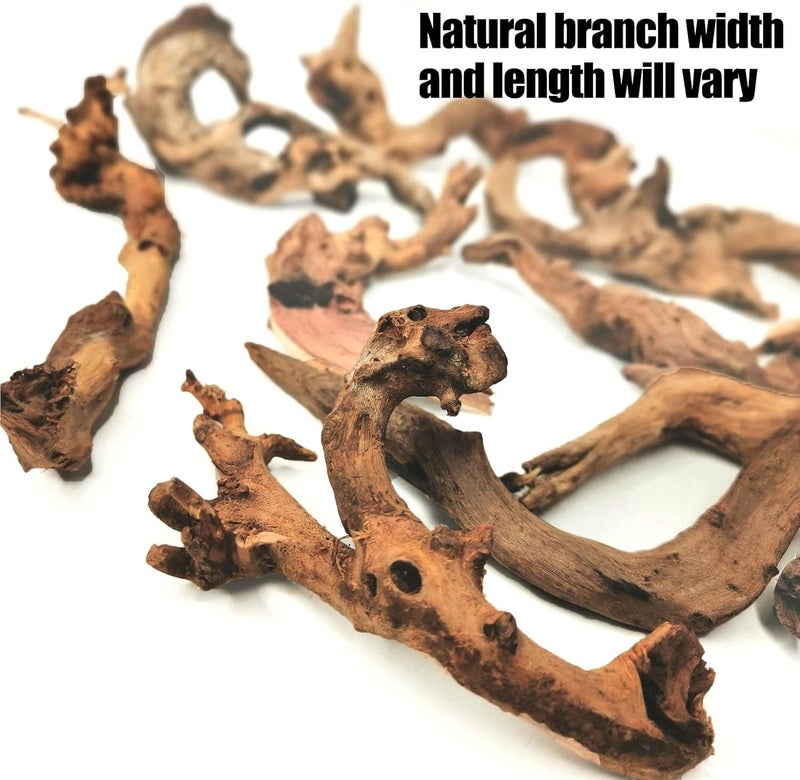 Hamiledyi Aquarium Driftwood 10 PCS Natural Wood Driftwood Branches Fish Tank Habitat Decor Sinkable Reptile Tree Log Decorations Assorted Terrarium Ornament for Aquarium Fish Reptiles Tank Small - Image 3