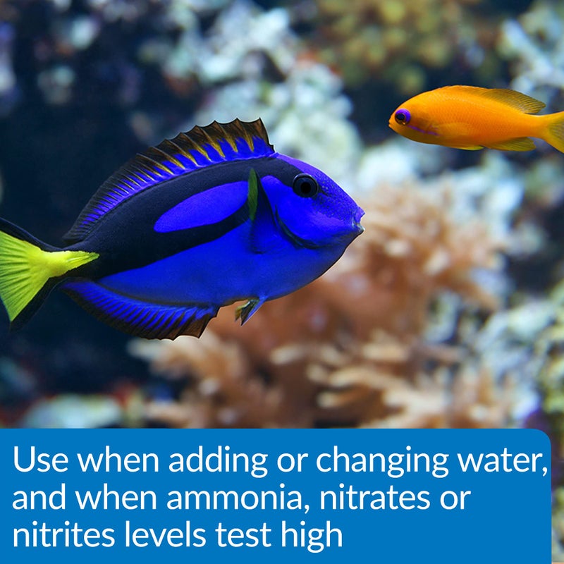 API AQUA ESSENTIAL Water Conditioner 16 ounce bottle - Image 5