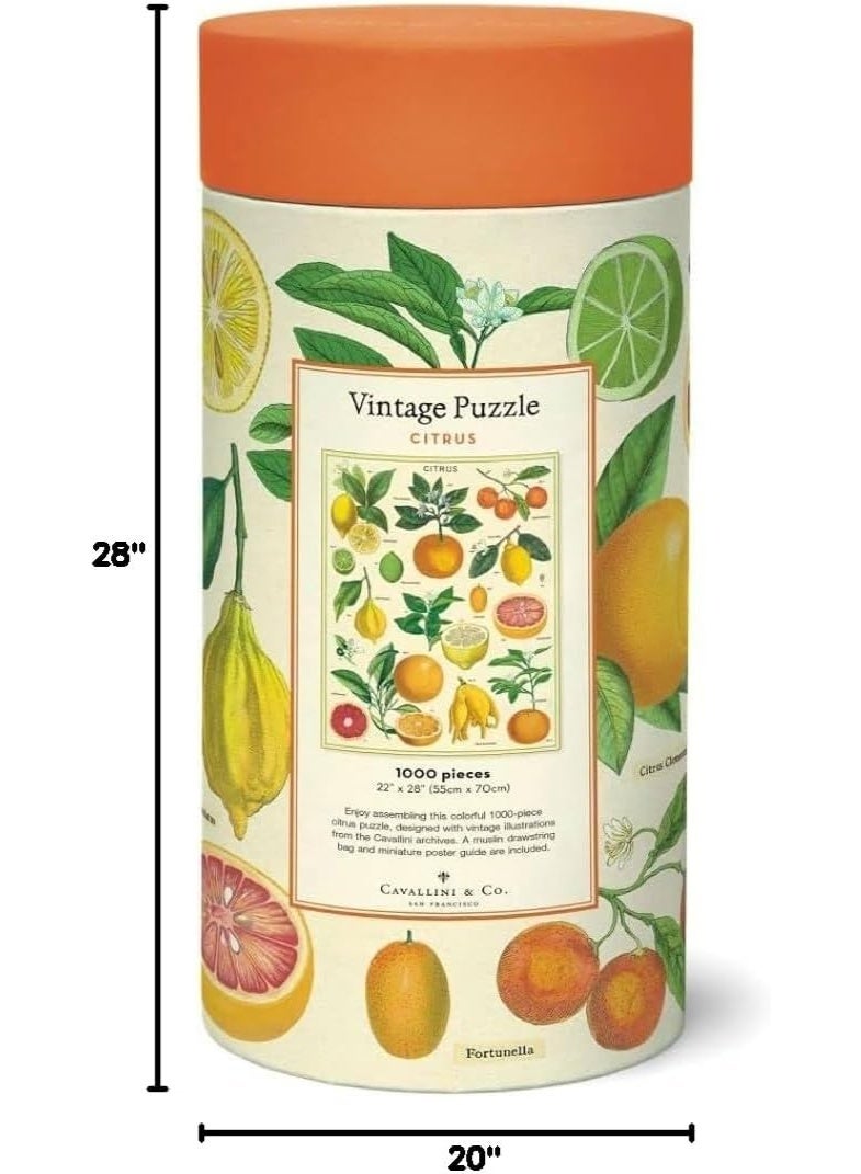 Cavallini & Co. Cavallini 1000 Piece Puzzle, Citrus (PZL/Citrus)