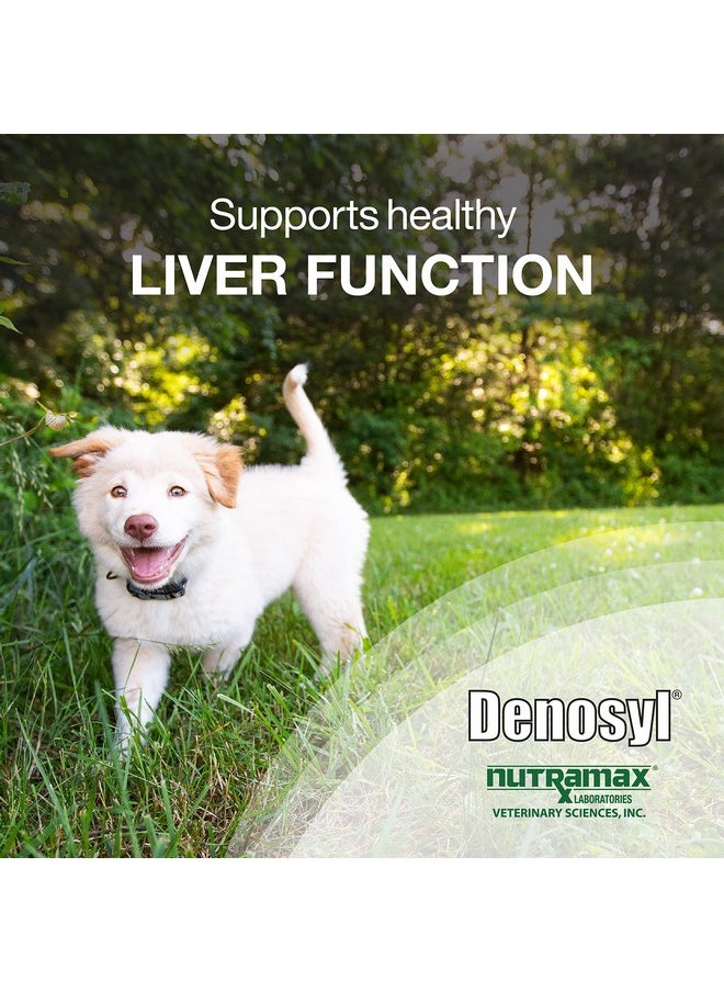 Nutramax Laboratories Nutramax Denosyl Liver and Brain Health Supplement for Medium Dogs - With S-Adenosylmethionine (SAMe), 30 Tablets  - Image 2