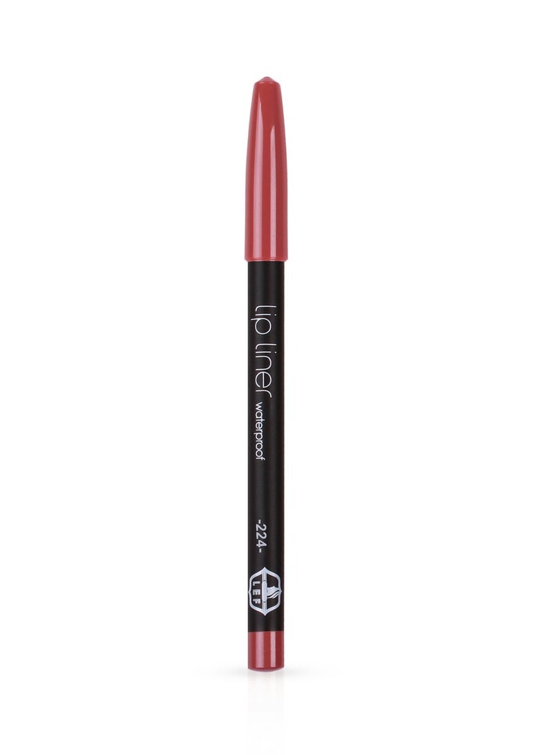 LEF COSMTICS LEF Professional Pencil Lipliner Full Coverage Matte Long Lasting Waterproof | 224 - Image 2