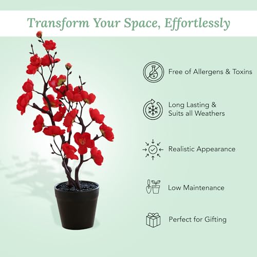 Ekhasa Nostrae Plum Blossom Flower Vase Pot with Artificial Flowers for Home Decoration | Guldasta Flower Pots with Artificial Flower for Living Room, Dining Table, Bedroom, Hall, Office & Home - Image 4