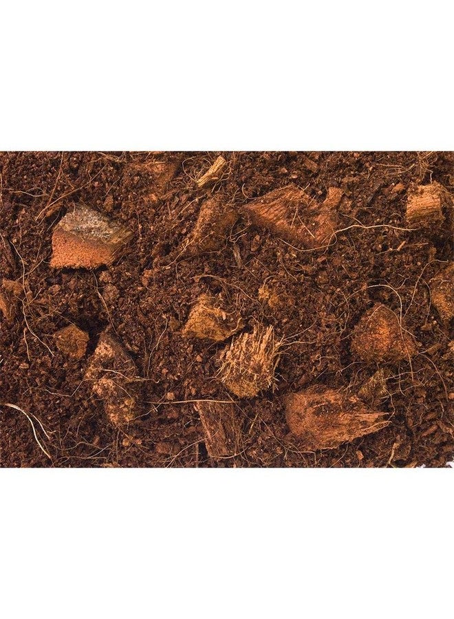 T-Rex Reptile Terrarium Substrate - Jungle Bed 4qt Bag (8qt) - Image 2