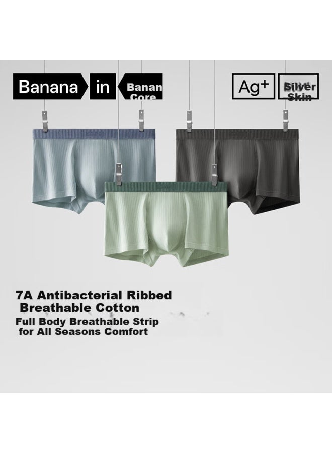 Bananain Silver Skin 3 Series Men's Underwear Pure Cotton 7a Antibacterial Summer Breathable Striped Non-sweat Stuffy Square Shorts Head 3 Pieces - Image 1
