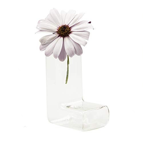 Chive - Set of 6 L Tube, Small Clear Glass Bud Vase for Short Flowers, Unique Flower Vase Sets for Home Decor, Weddings, Floral Arranging, Event, Place Settings - Image 5