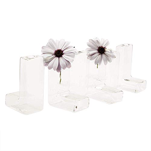 Chive - Set of 6 L Tube, Small Clear Glass Bud Vase for Short Flowers, Unique Flower Vase Sets for Home Decor, Weddings, Floral Arranging, Event, Place Settings - Image 1