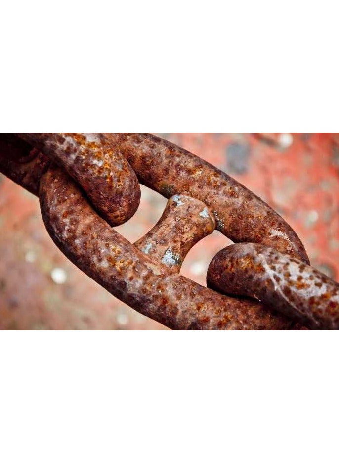 مزيل صداء 500 ملى لانلونج - Image 2