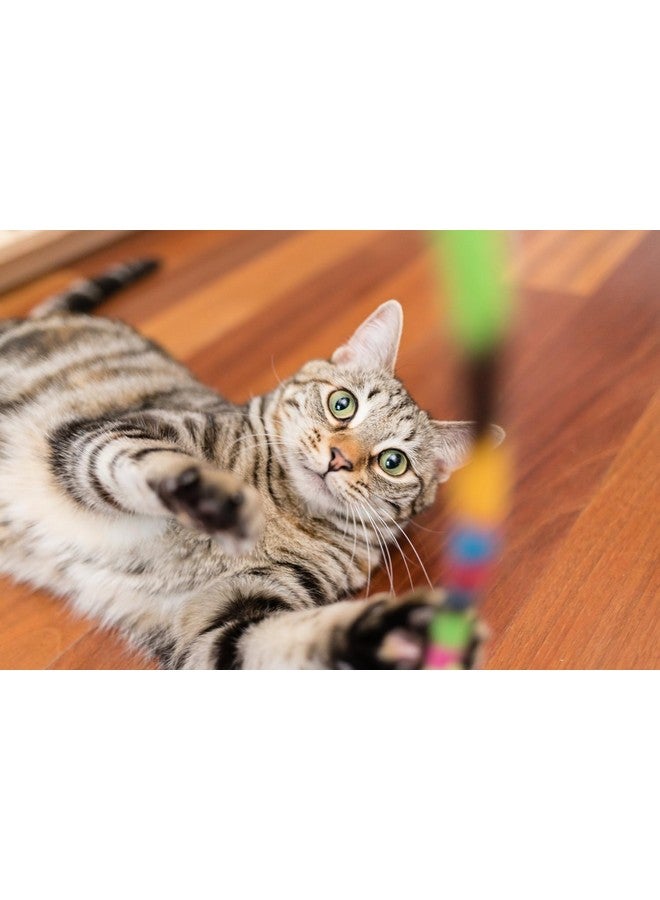 In Clover Connectin Hip And Joint Powder Supplement For Cats. Combines Glucosamine, Chondroitin And Hyaluronic Acid With Herbs For Comfort And Mobility. 3.2 Oz. - Image 4