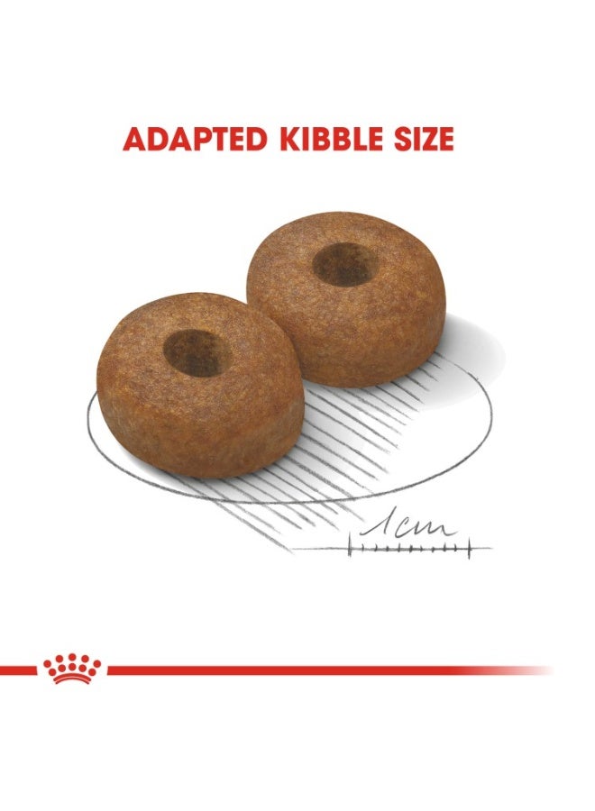 رويال كانين حجم التغذية الصحية ماكسي إيجينغ 8+ 15 كجم - Image 2