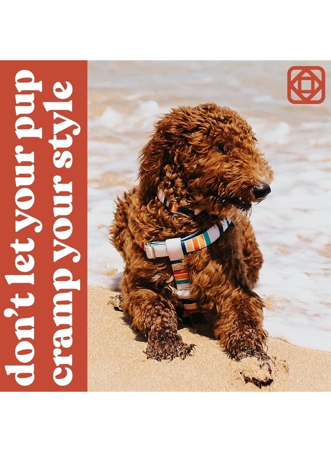 Kano KANO Dog Collar I Fully Adjustable and Made with Durable Polyester, Metal D-Ring and a Quality Buckle I Training, Walking, and Jogging Tool for Small, Medium, and Large Breeds I Legacy  - Image 5