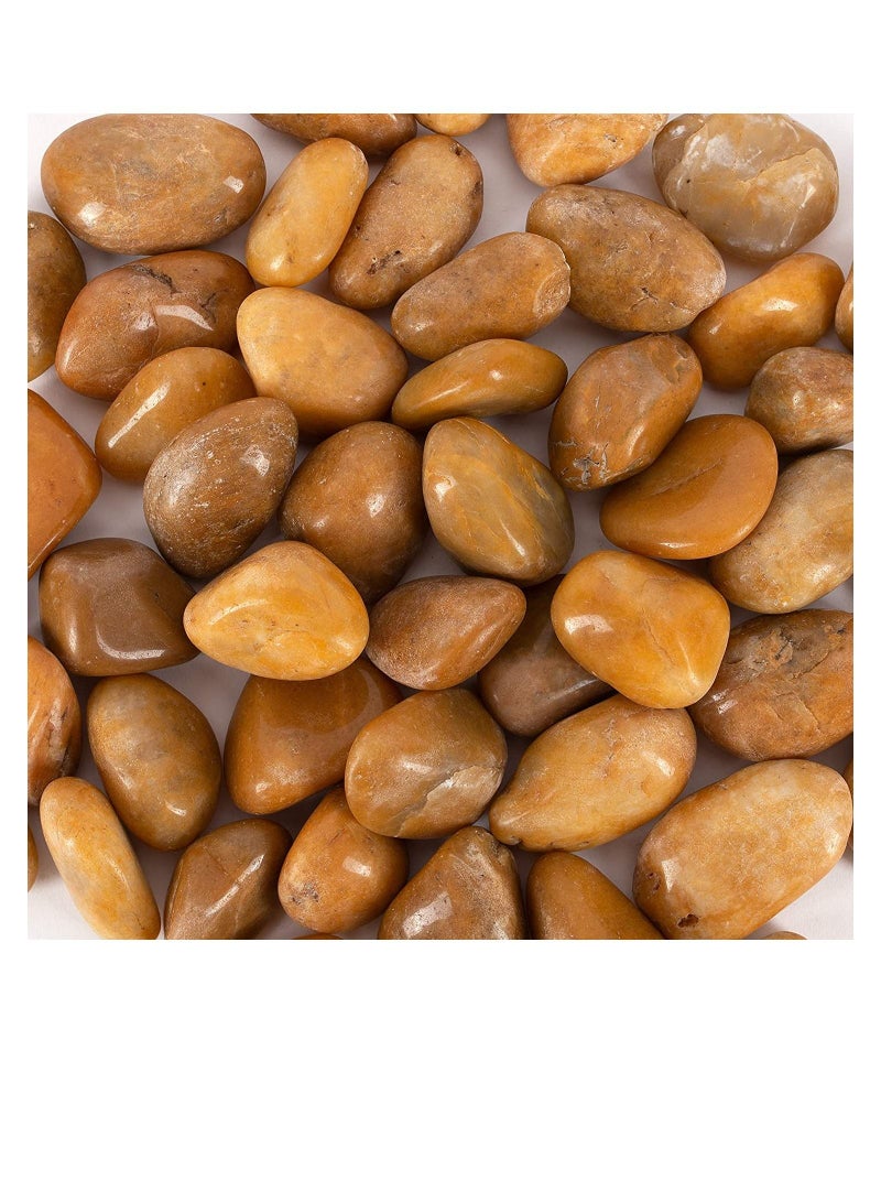 2lb Polished Pebbles, Natural Polished Mixed Color Stones, Decorative Small River Stones (32 oz)