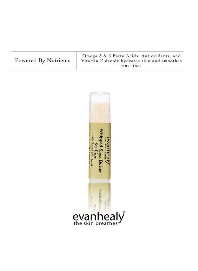 evanhealy Whipped Shea Butter For Lips : Organic Red Raspberry Seed Oil Beeswax & Argan Oil : Moisturizing Lip Balm (3 Pack)  - Image 4