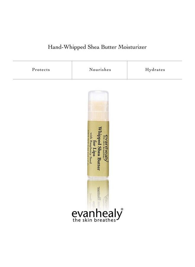 evanhealy Whipped Shea Butter For Lips : Organic Red Raspberry Seed Oil Beeswax & Argan Oil : Moisturizing Lip Balm (3 Pack)  - Image 3