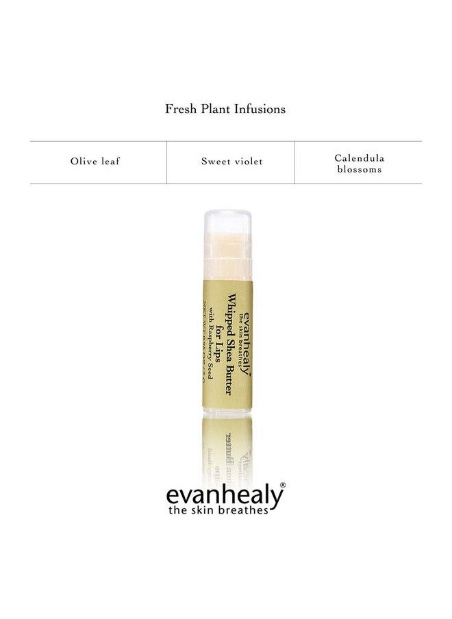 evanhealy Whipped Shea Butter For Lips : Organic Red Raspberry Seed Oil Beeswax & Argan Oil : Moisturizing Lip Balm (3 Pack)  - Image 5