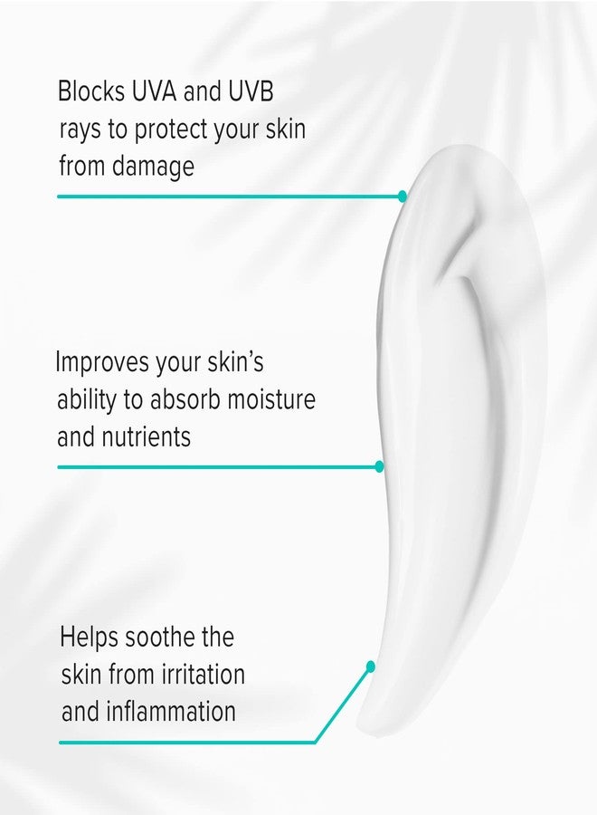 ClarityRx Skin Defense Broad-Spectrum SPF 50, Natural Plant-Based Moisturizing Face & Body Sunscreen With Zinc & Hyaluronic Acid (2 Oz) - Image 3