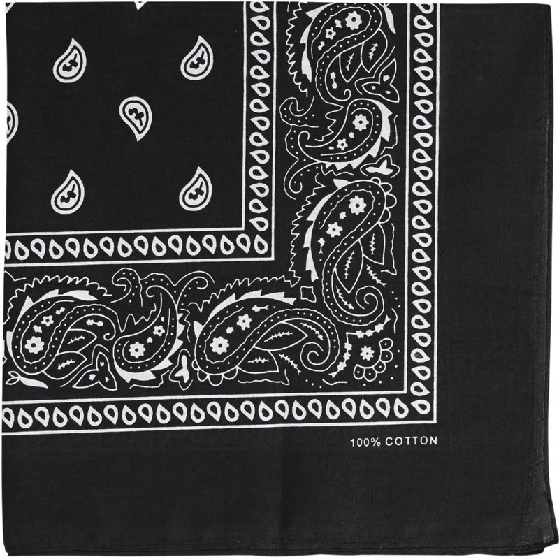 Raylarnia Bandanas for Men, Novelty Bandanas Paisley Cotton Bandanas for Women and Man- Black - Image 1
